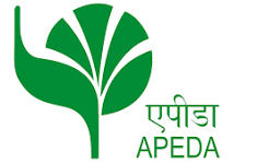 APEDA Registered Exporter